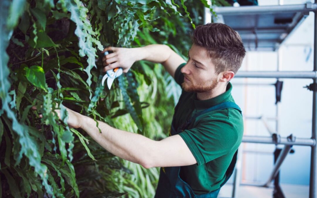 Giardini Verticali: Oasi di Verde per Ristrutturare Interni ed Esterni